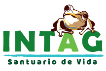 dark logo